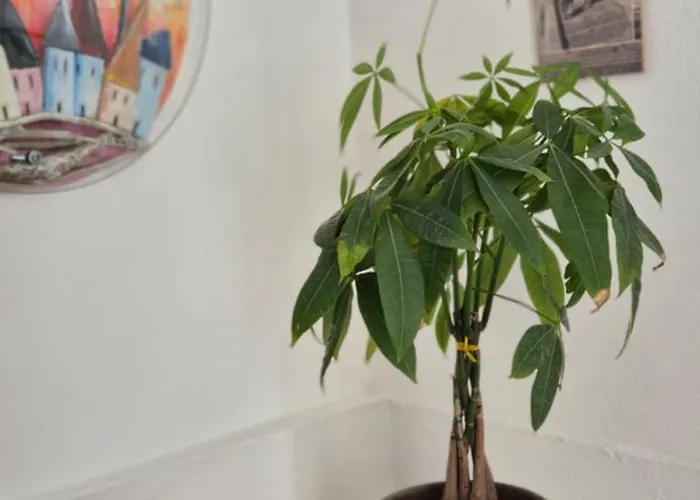 דירה Kalamia's Sunny