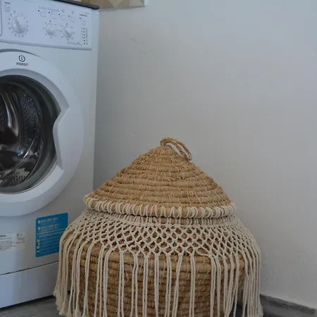 Kalamia's Sunny * 피르고스