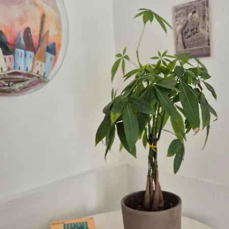 아파트 Kalamia's Sunny